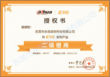 大華監(jiān)控產(chǎn)品二級(jí)橙商